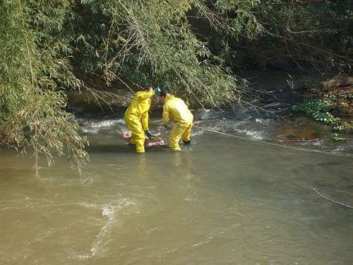 Corpo é encontrado no Rio Muriaé