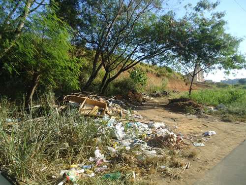 DEMSUR retira entulho na beira da BR 356