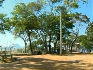 Horto Florestal de Muriaé