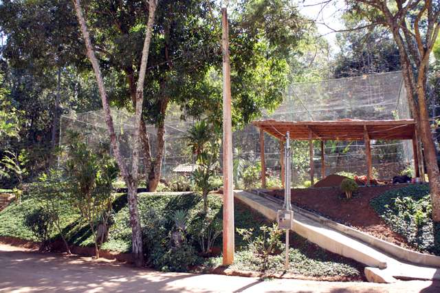 Horto Florestal de Muriaé passa por reformas