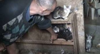 Homem que criava cães e gatos para comer é internado e animais resgatados