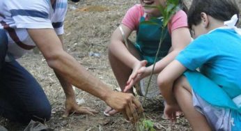 Projeto Horto Encantado realiza plantação de mudas em comemoração ao Dia da Árvore