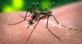 Confirmado caso de zika vírus em Ubá