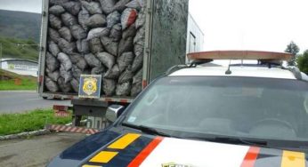 PRF apreende 35 metros cúbicos de carvão vegetal em Leopoldina