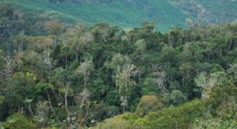 Reserva Particular do Patrimônio Natural poderá ser reconhecida e incentivada em Muriaé