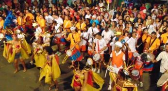 DEMSUR é tema de samba-enredo do Marambloco no carnaval de Muriaé de 2015