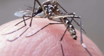 Ação contra o Aedes aegypti é realizada no bairro São Gotardo