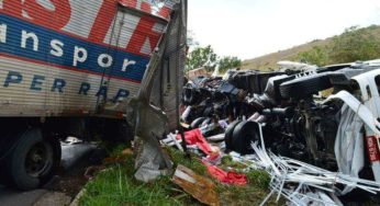 Caminhoneiro de Manhuaçu morre em acidente em Leopoldina