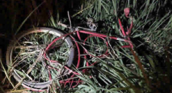 Ciclista morre atropelado na estrada que liga Cataguases a Miraí