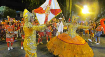 Desfile das Escolas de Samba agitou Muriaé no final de semana