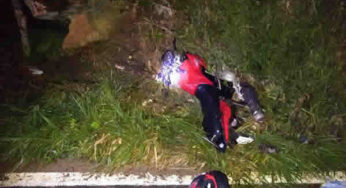 Motociclista morre ao tentar desviar de pedestre e cair na MG-452