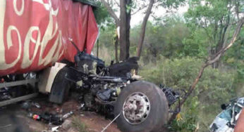 Batida entre caminhões deixa dois mortos na MG-190