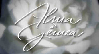 Resumo da novela Alma Gêmea – 05/09 a 10/09
