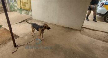 Idoso é preso após divulgação de vídeo em que ele faz sexo com uma cadela