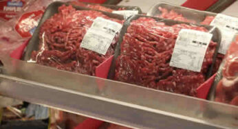 Caso de vaca louca no Brasil trava mercado do boi e frigoríficos suspendem abates