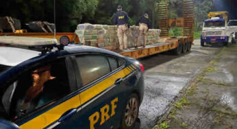 PRF apreende quase 2 toneladas de maconha em Juiz de Fora